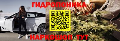 сатива Аргун