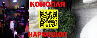 сатива Аргун