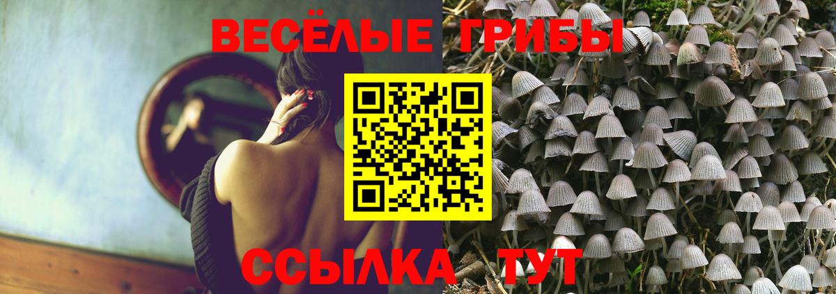 Псилоцибиновые грибы Psilocybine cubensis  Вход с VPN  Галлюциногенные грибы MAGIC MUSHROOMS  Каменка 